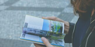 Beginner’s Guide to Domain Flipping: Unlock Profitable Secrets Today pexels photo 122162