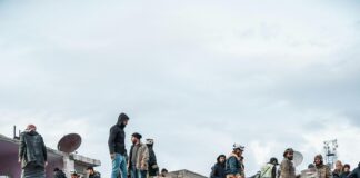 .Com Vs .Ai: Which Domain Extension Boosts Your Search Rankings? pexels photo 15558948