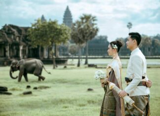 .Com vs .Ai: Which Domain Sparks Greater Investor Interest?