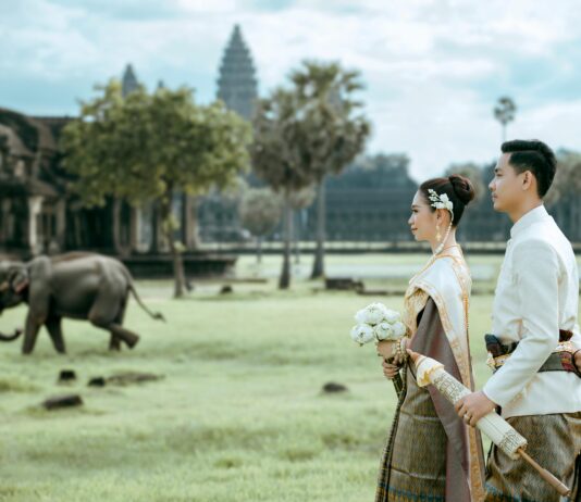 .Com vs .Ai: Which Domain Sparks Greater Investor Interest? pexels photo 19153799