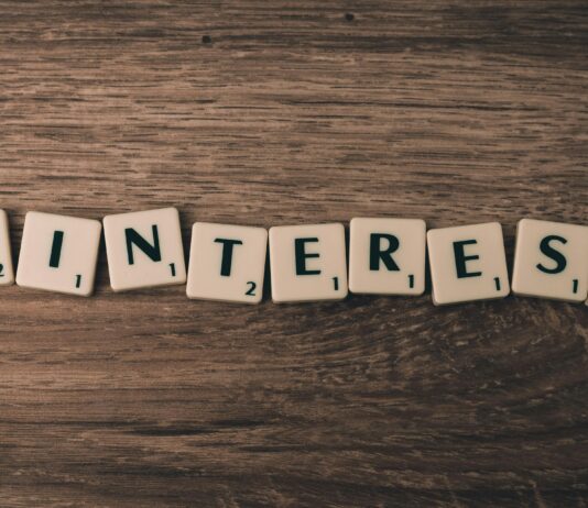 Website Domains: Essential Branding Tips for Unforgettable Impact pexels photo 267367