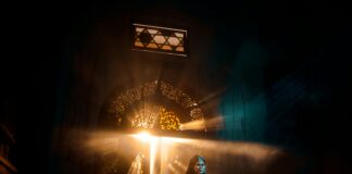 pexels photo 28827867