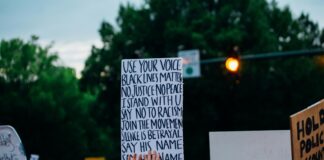 How to Protect Your Domain Name Rights: Essential Strategies Unveiled pexels photo 4570708