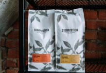 How to Select a Domain Name That Enhances Branding Effortlessly