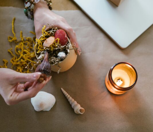 pexels photo 7309742 1