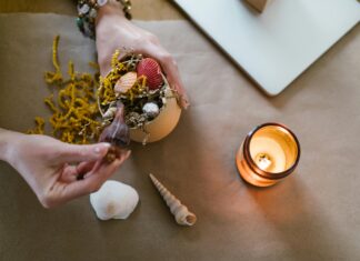 Website Domains: Crafting Brand-Friendly URLs That Captivate Users