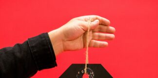 pexels photo 7564282