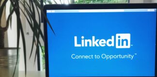 Website Domains: How to Choose the Ideal Extension for Your Brand pexels photo 1083792