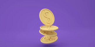 pexels photo 12198525