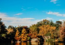 ICANN News: Discover What’s Changing in Domain Policies Today! pexels photo 12385366