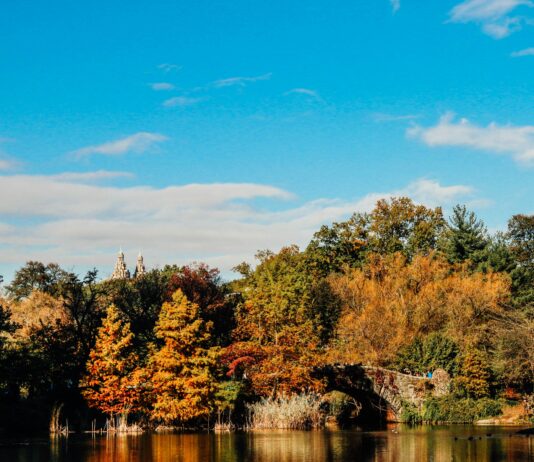 ICANN News: Discover What’s Changing in Domain Policies Today! pexels photo 12385366