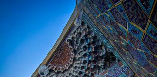 ICANN News: Discover What’s New in Domain Dispute Resolution! pexels photo 13128083