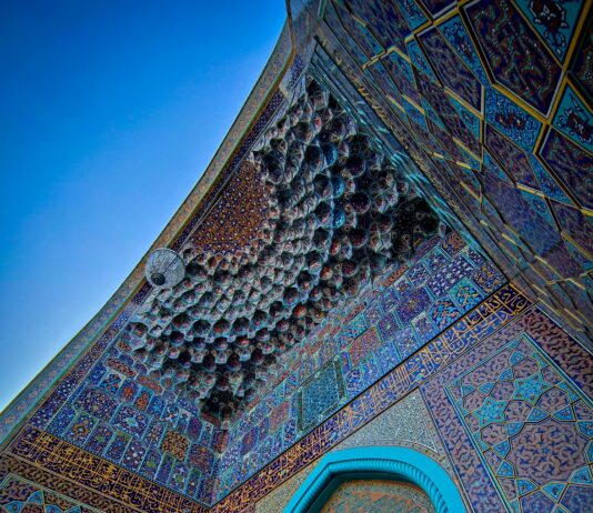 pexels photo 13128083