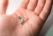 Why Premium Domains Command High Prices: Uncover Their Value