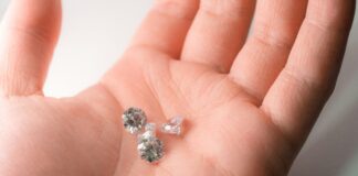 pexels photo 13648411