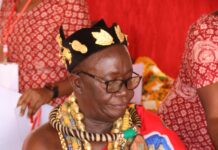 What You Need to Know About New gTLD Launches for Success pexels photo 14761891 1