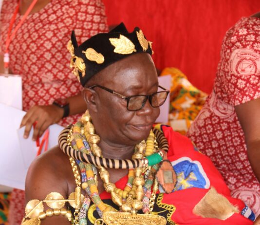 What You Need to Know About New gTLD Launches for Success pexels photo 14761891 1