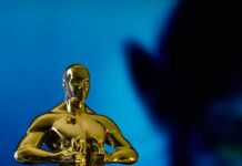 pexels photo 15113134