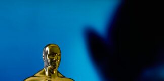 pexels photo 15113134