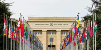 Strategies to Excel at Domain Auctions: Unlock Your Winning Potential pexels photo 16146279 1