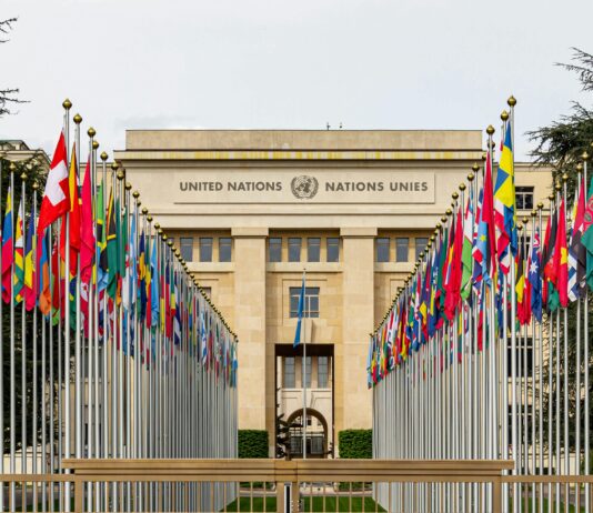 Strategies to Excel at Domain Auctions: Unlock Your Winning Potential pexels photo 16146279 1