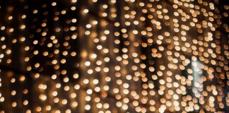 pexels photo 16228922