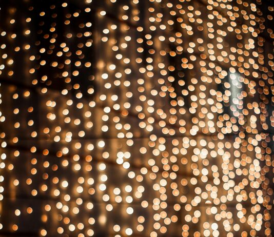 pexels photo 16228922