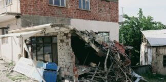 pexels photo 17512052