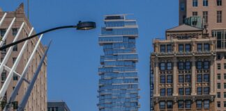 pexels photo 17673694