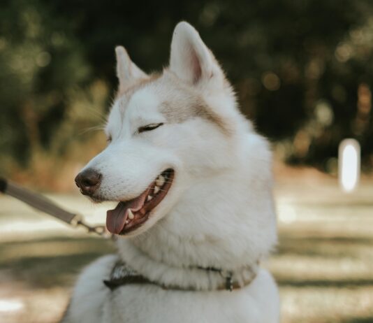 How to Value a Domain Name Like a Pro and Maximize Its Worth pexels photo 17851004