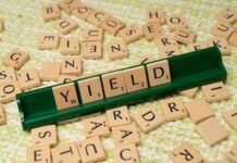 Domain Flipping for Passive Income: Unlock Profitable Secrets Today pexels photo 18512835