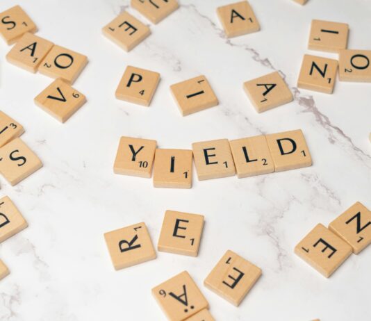 Domain Investing: Unlock Secrets to Building a Profitable Portfolio pexels photo 18512943 1