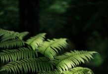 pexels photo 19762991