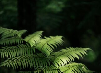 Exploring the Latest New gTLDs: Unlock Their Untapped Potential