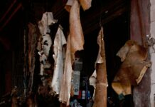 Crafting Effective Sales Pitches for Domain Names That Convert