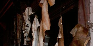 Crafting Effective Sales Pitches for Domain Names That Convert pexels photo 19791429