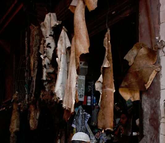 Crafting Effective Sales Pitches for Domain Names That Convert