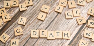 Best Practices to Prevent Domain Expiration Loss: Safeguard Your Assets pexels photo 19792088