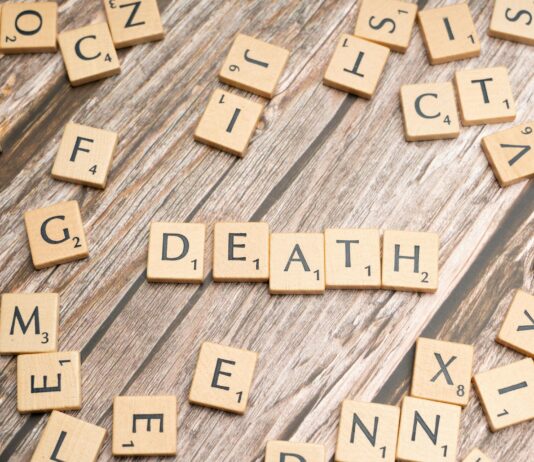 pexels photo 19792088