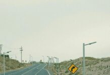 pexels photo 19802075