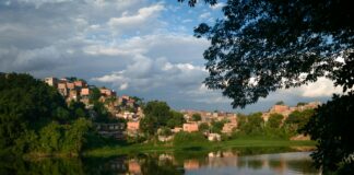 pexels photo 20066130