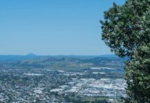 New gTLDs: Discover Exciting Domain Extensions That Elevate Brands