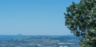 pexels photo 21047859