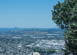 New gTLDs: Discover Exciting Domain Extensions That Elevate Brands