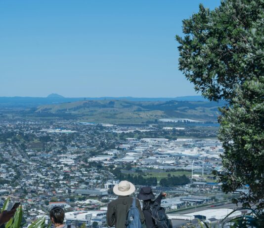 pexels photo 21047859