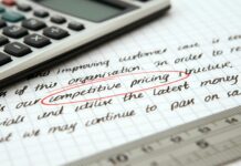 Bidding Strategies for Competitive Domain Auctions: Unlock Success