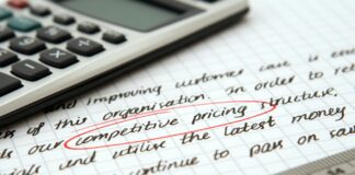 Bidding Strategies for Competitive Domain Auctions: Unlock Success pexels photo 262470