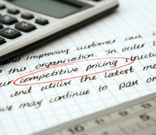 Bidding Strategies for Competitive Domain Auctions: Unlock Success pexels photo 262470