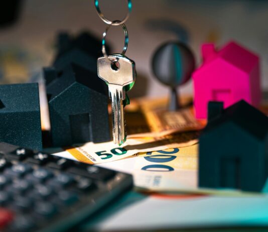 pexels photo 28914932