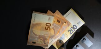 Building a Successful Domain Investment Portfolio: Unlock Your Wealth pexels photo 29457492